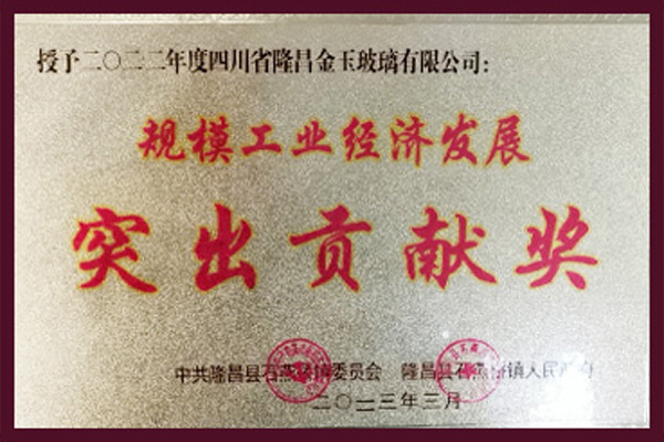 突出贡献奖
